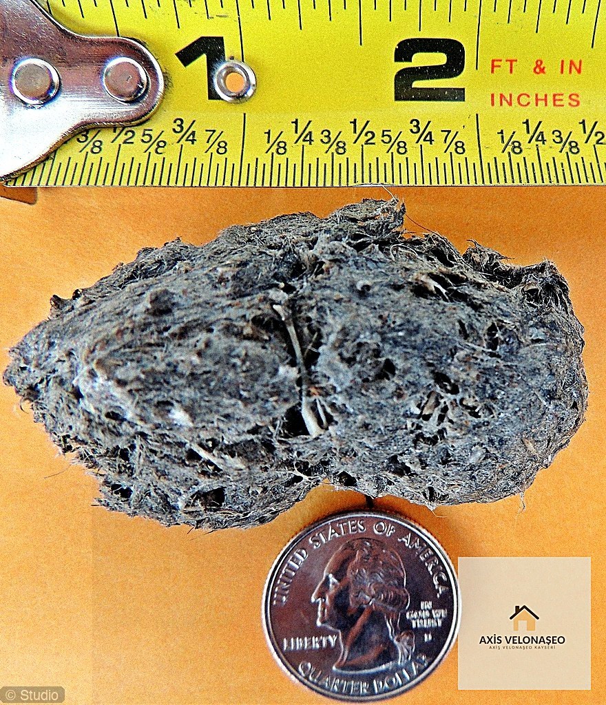 İnşaat Şirketi content card 2